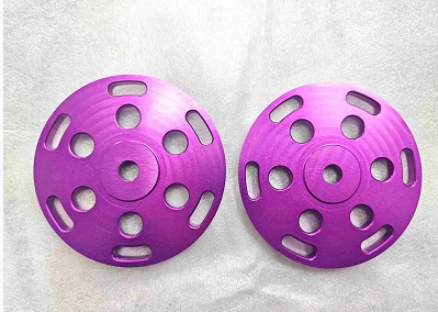 Cam Pulley Internals